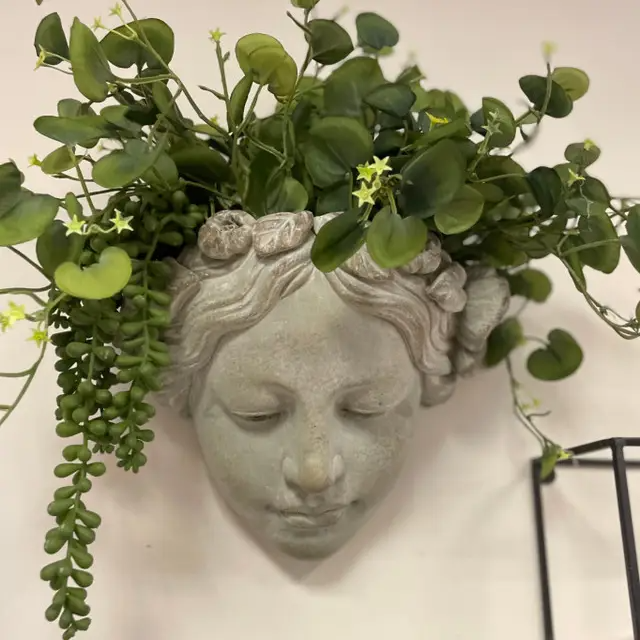 Growth Within Planter