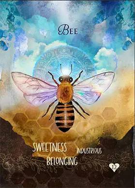 Multidimensional Oracle Cards