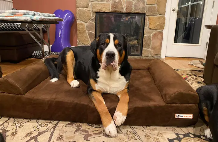 THE BIG BARKER 7" Orthopedic Dog Bed - Sofa