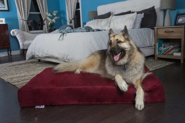 THE BIG BARKER 7" Orthopedic Dog Bed - Headrest