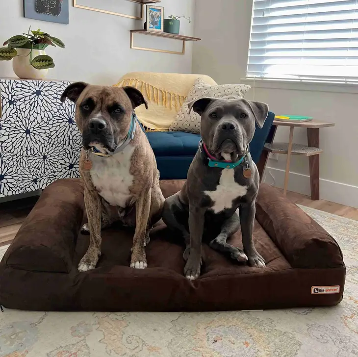 THE BIG BARKER 7" Orthopedic Dog Bed - Sofa