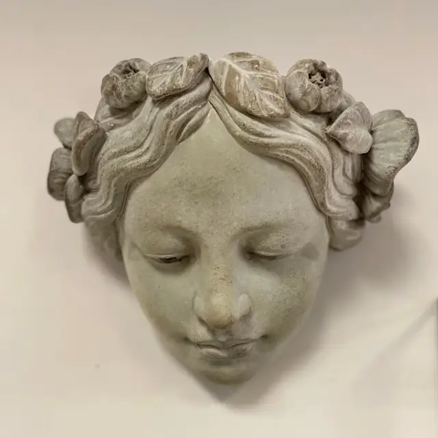 Growth Within Planter