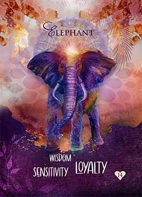 Multidimensional Oracle Cards