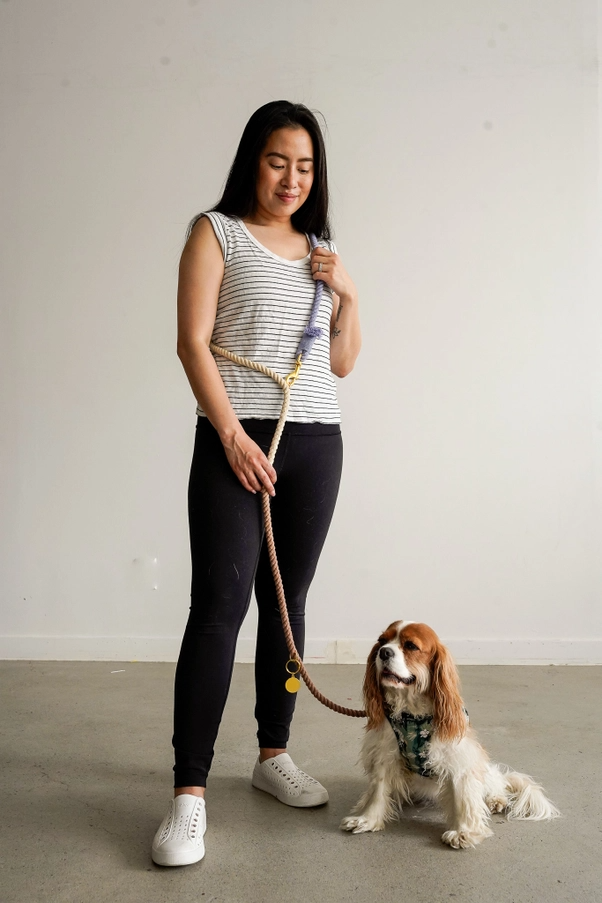 Dog Leash Cotton Rope Hands Free Ombre Tan White Blue