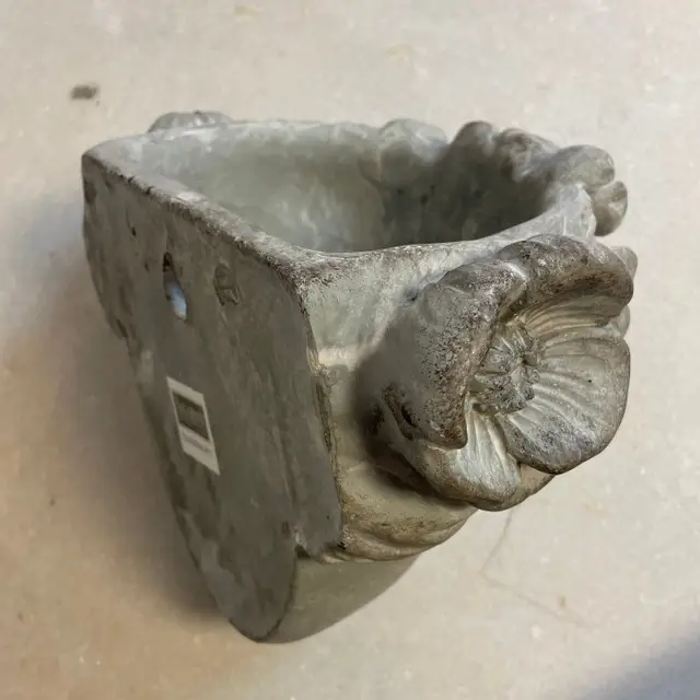 Growth Within Planter