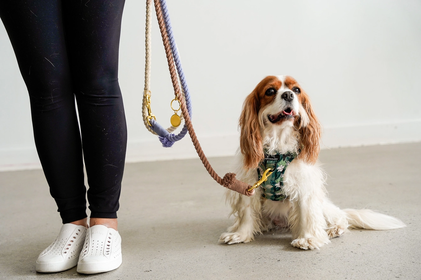 Dog Leash Cotton Rope Hands Free Ombre Tan White Blue