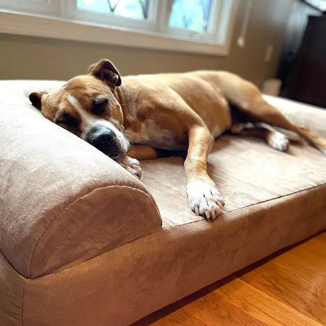 THE BIG BARKER 7" Orthopedic Dog Bed - Sofa