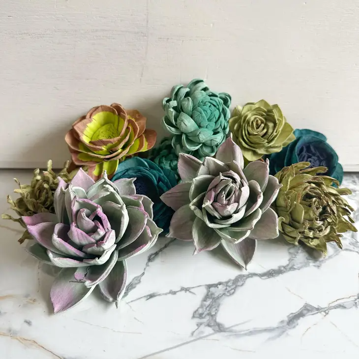 Hand Painted Succulent (Sola Wood Flowers) - Set of 12
