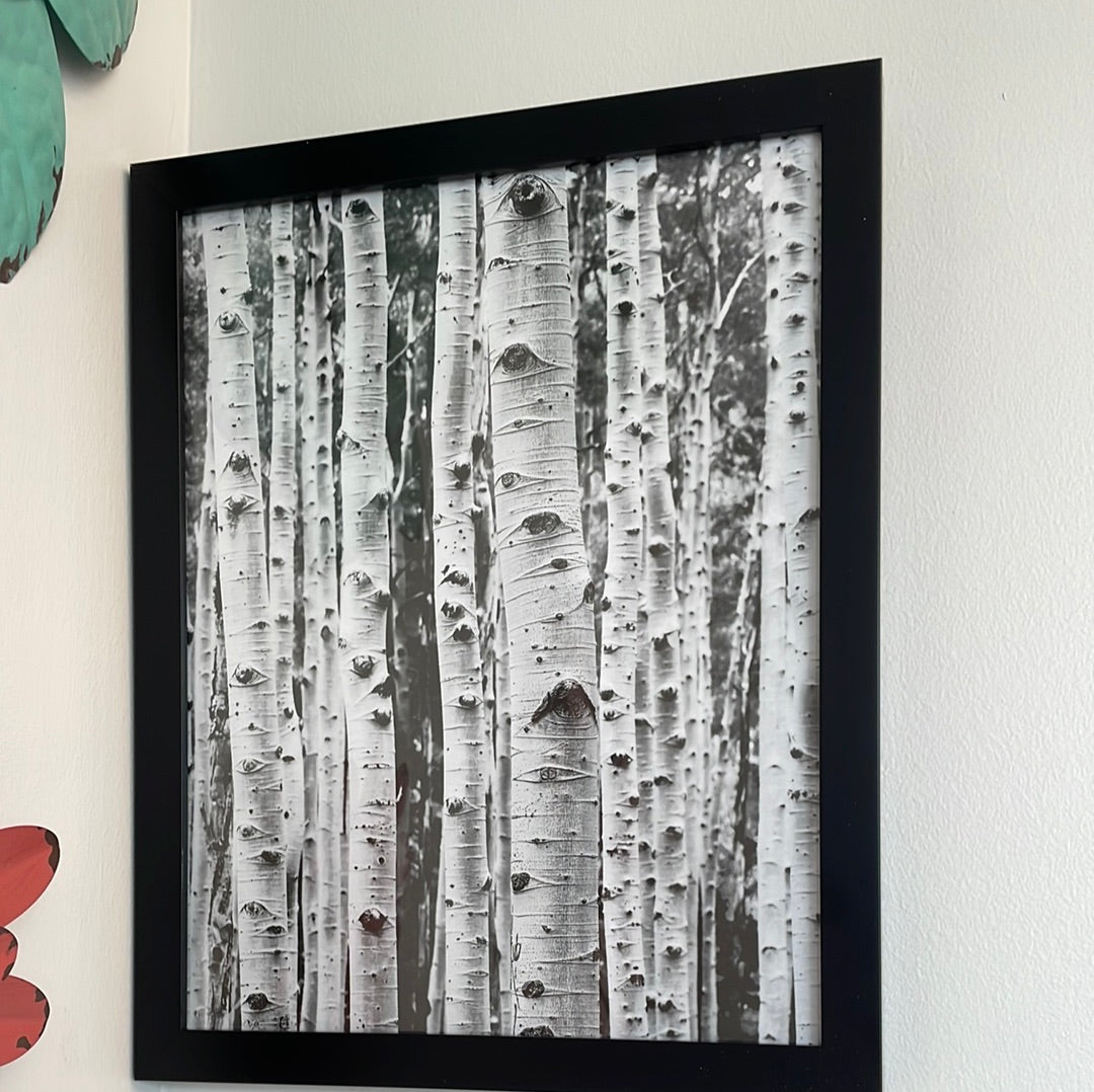 In the Birch 12x15 Framed Art