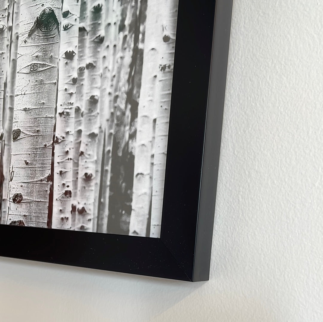 In the Birch 12x15 Framed Art