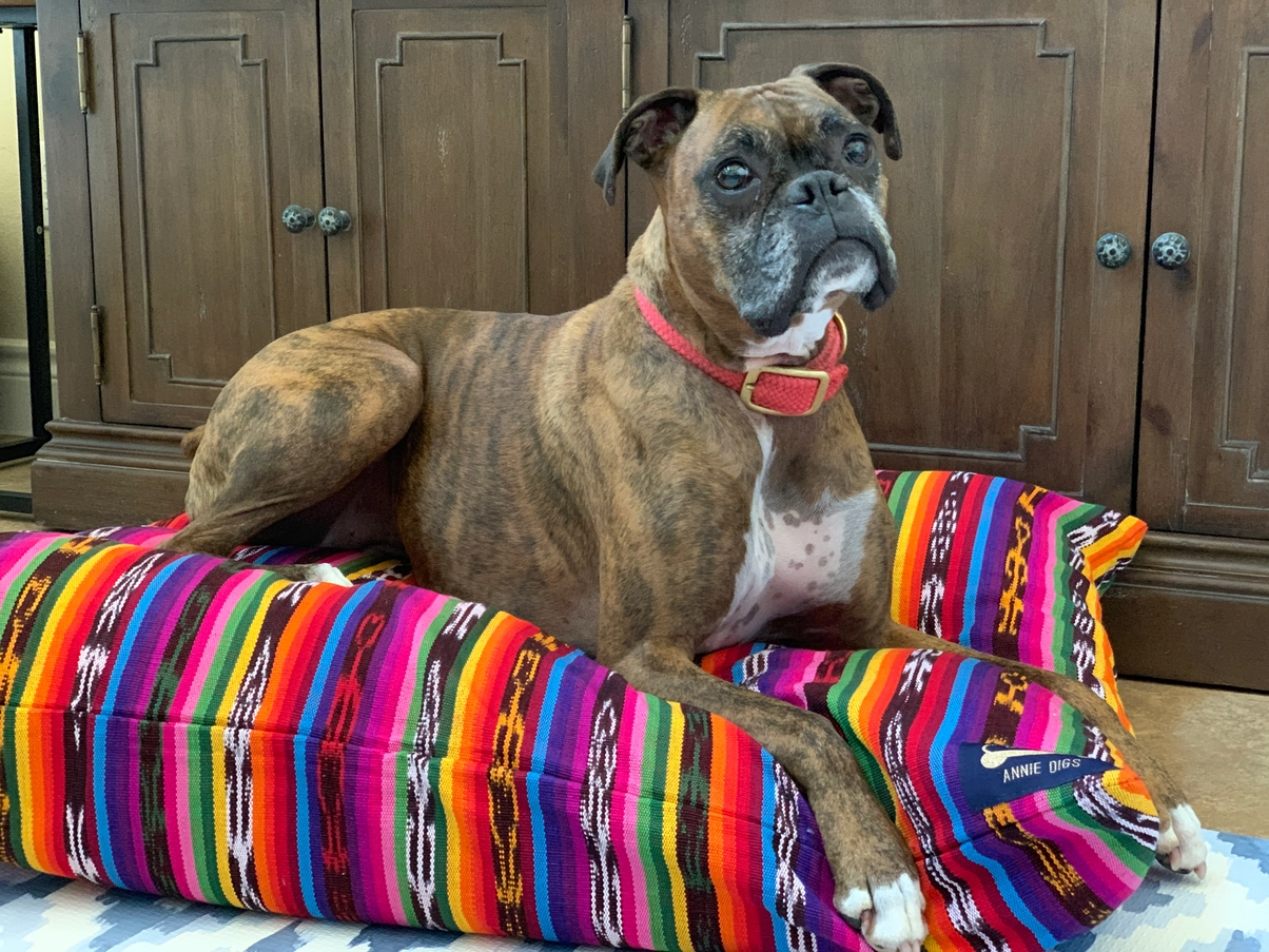 Pup Pillow - Oaxaca