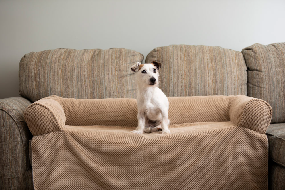Couch Companion Bolstered Dog Sofa Throw