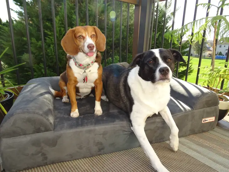 THE BIG BARKER 7" Orthopedic Dog Bed - Sofa