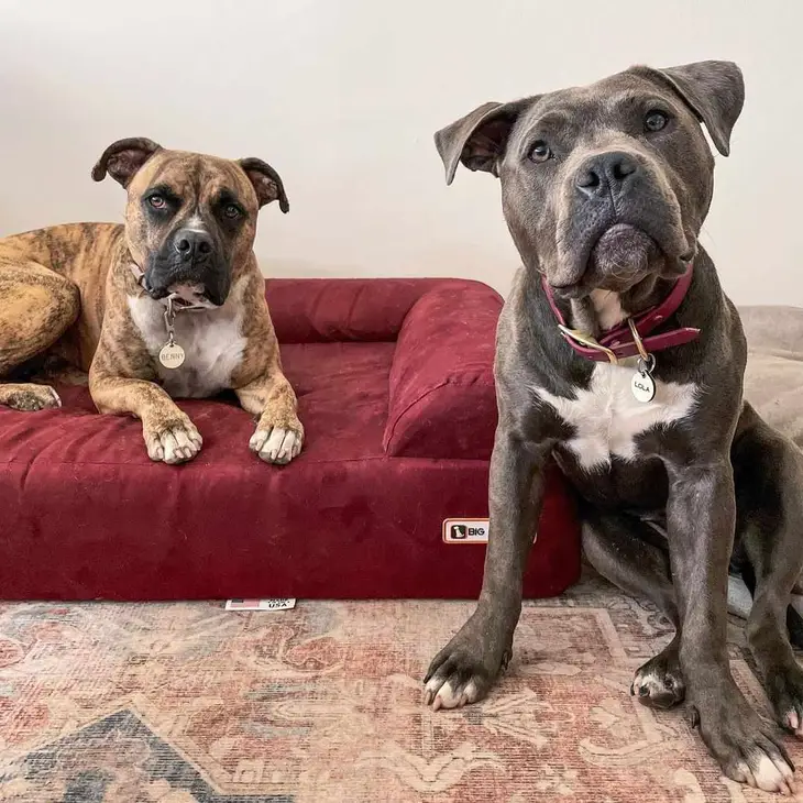 THE BIG BARKER 7" Orthopedic Dog Bed - Sofa