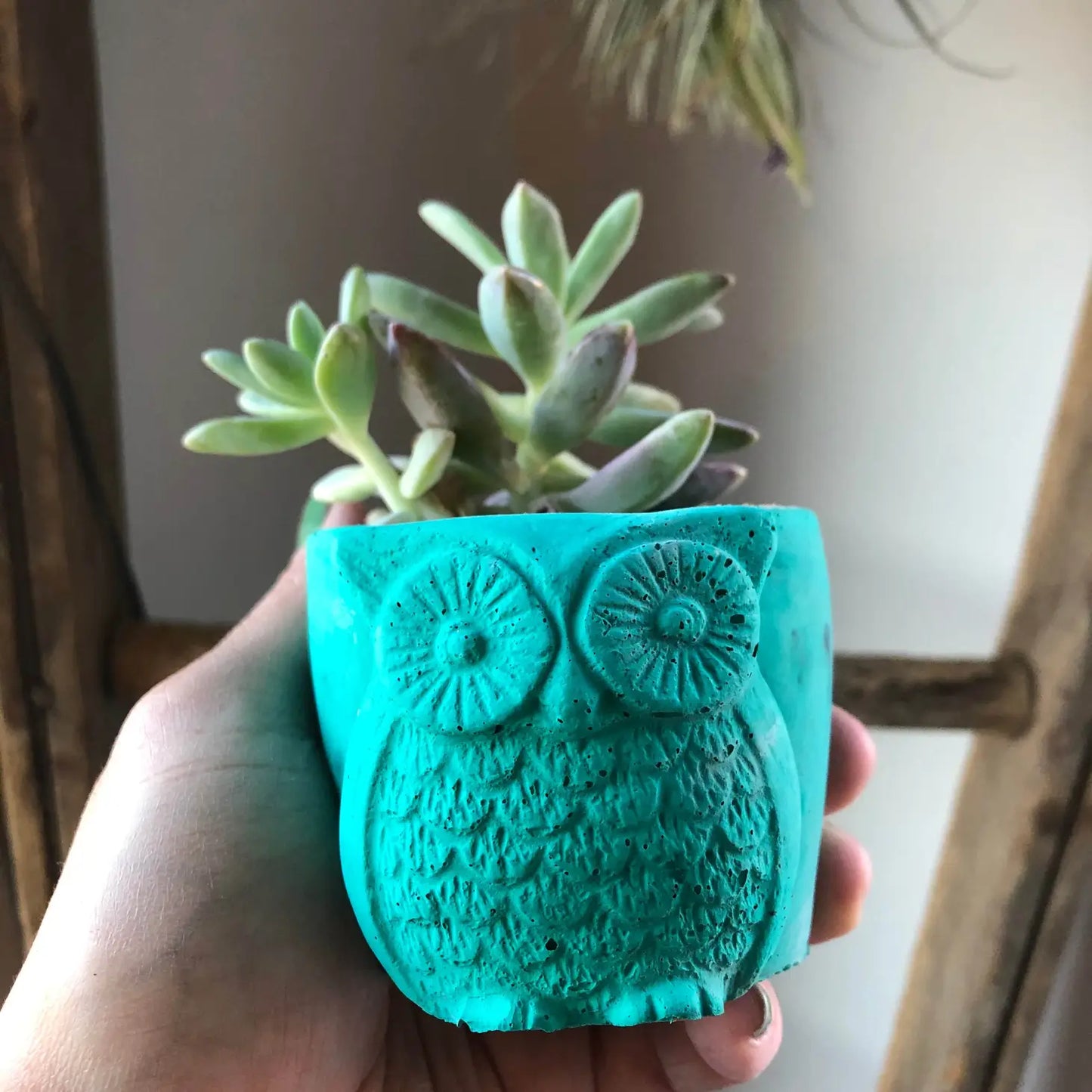 Owl Planter