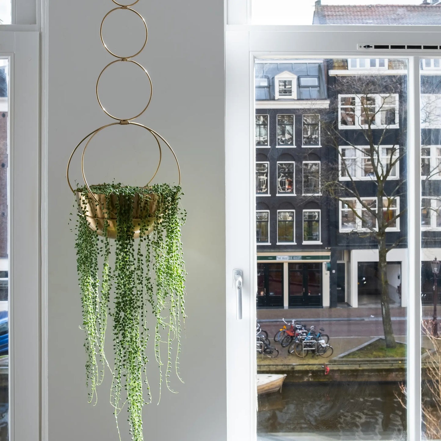 Gold Circle Hanging Planter