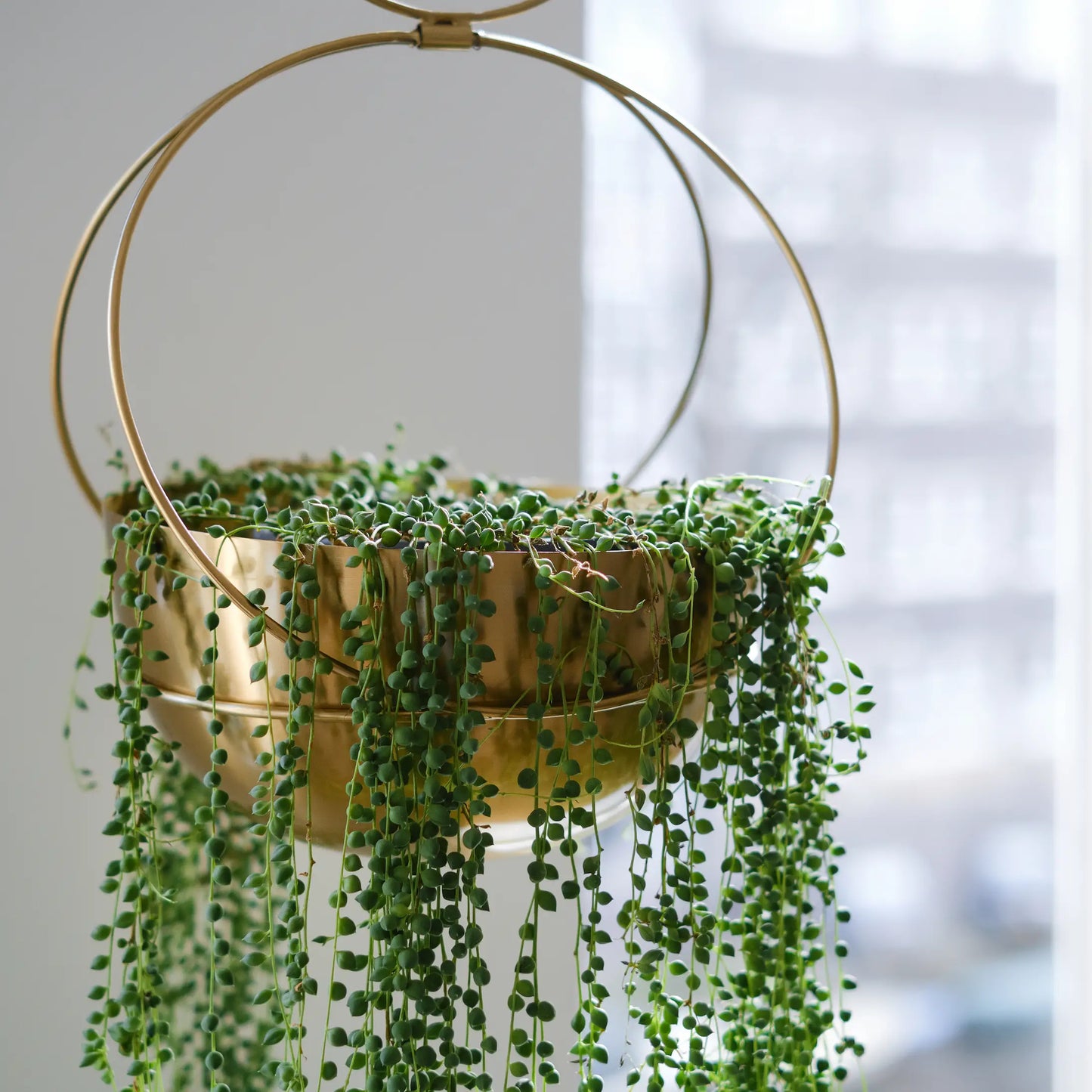 Gold Circle Hanging Planter