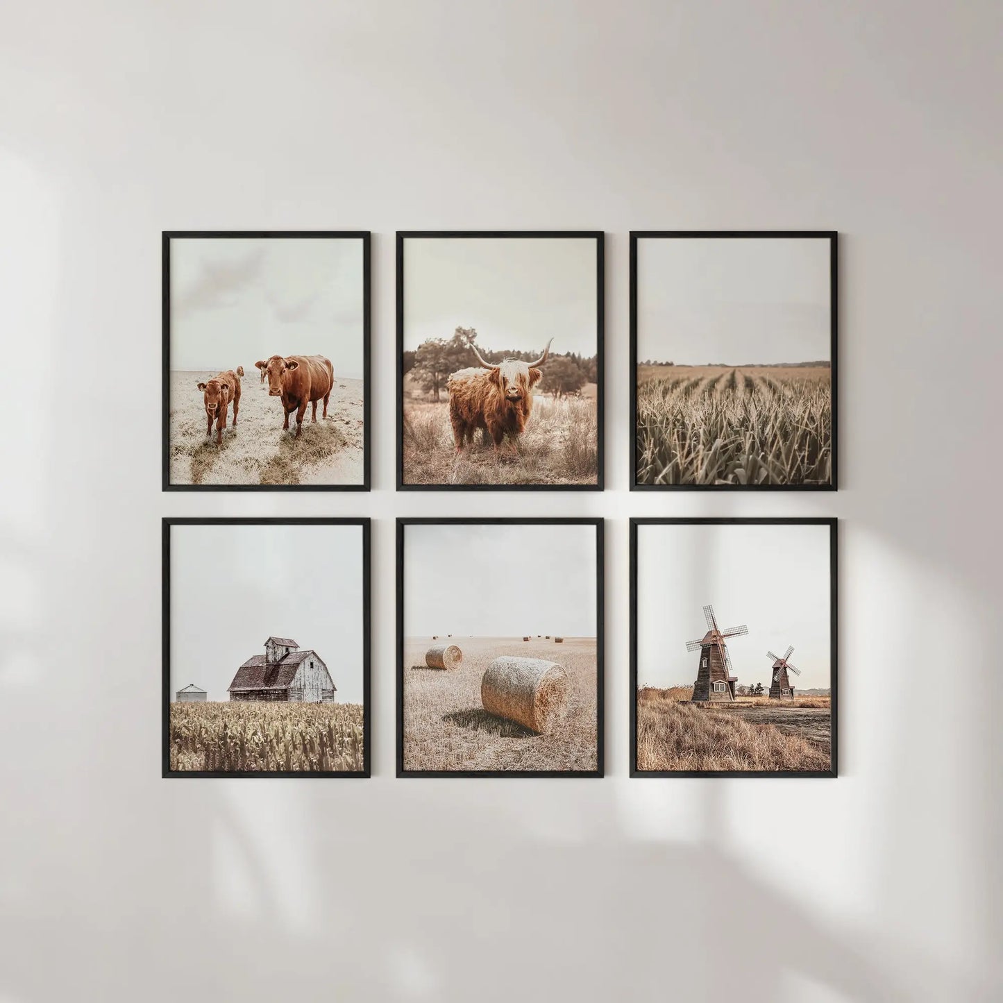 Unframed Highland Cow Set 11x14