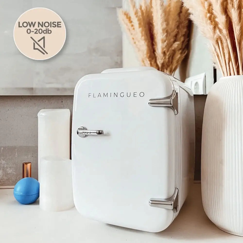 4L Portable Fridge