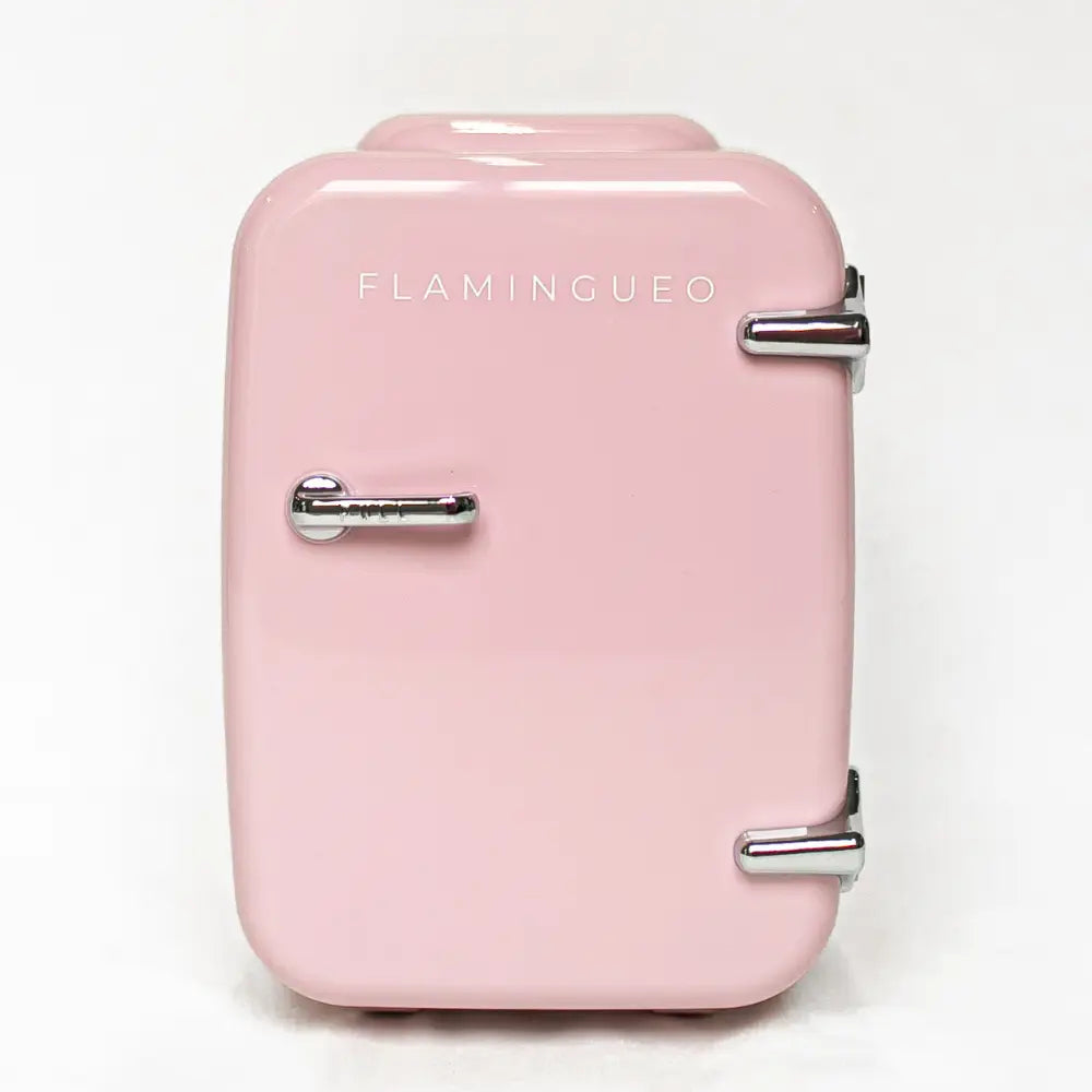 4L Portable Fridge