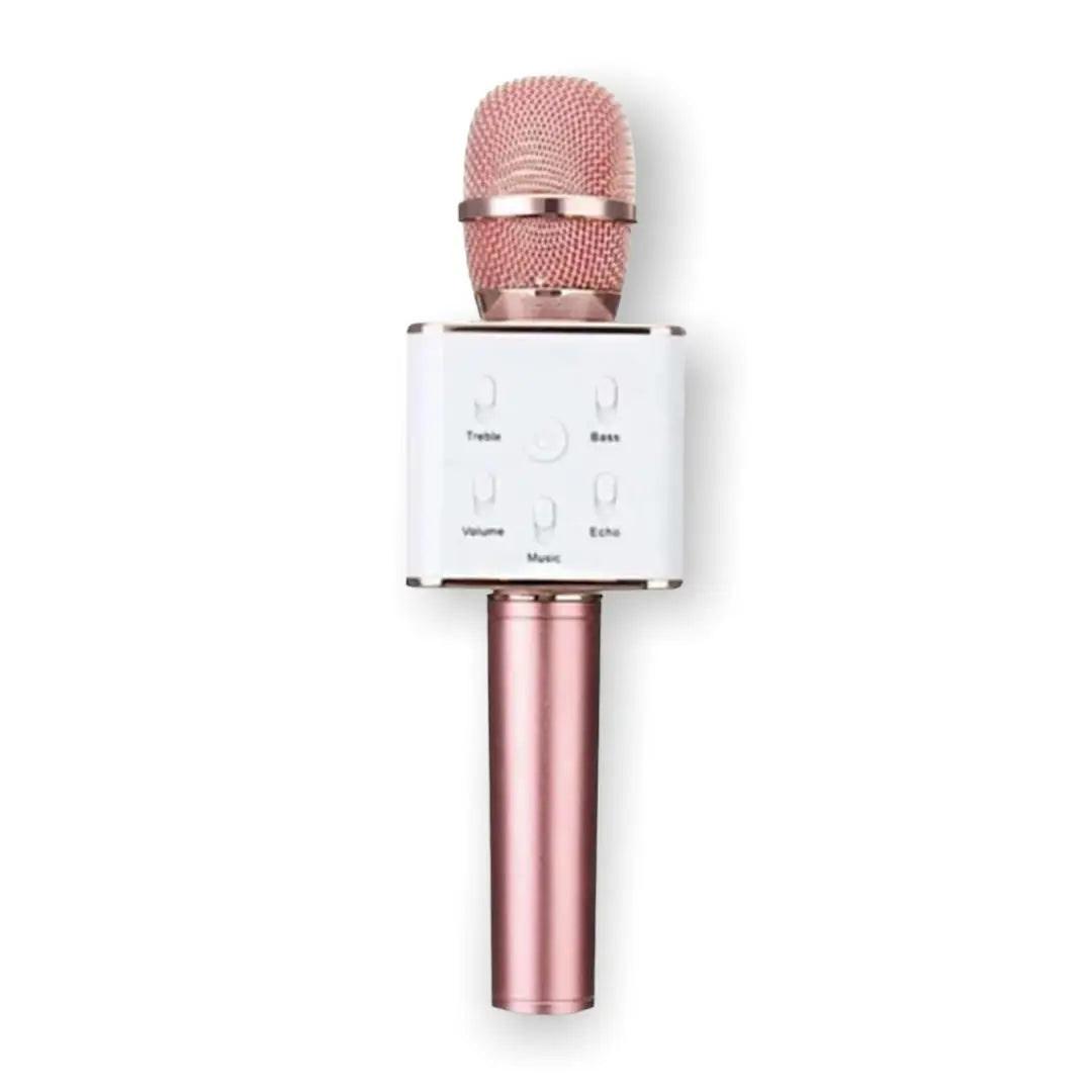 Karaoke Microphone with Power Bank