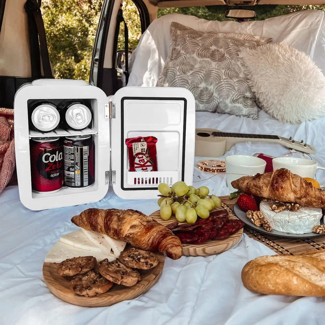 4L Portable Fridge