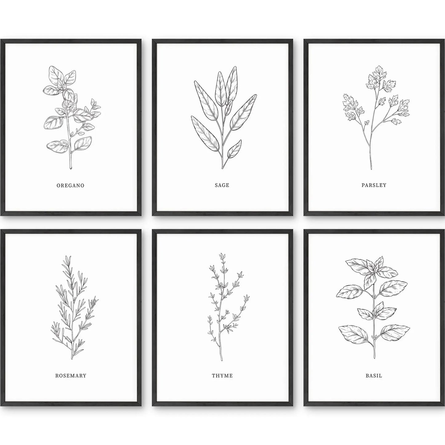 Unframed Herb Set 11x14