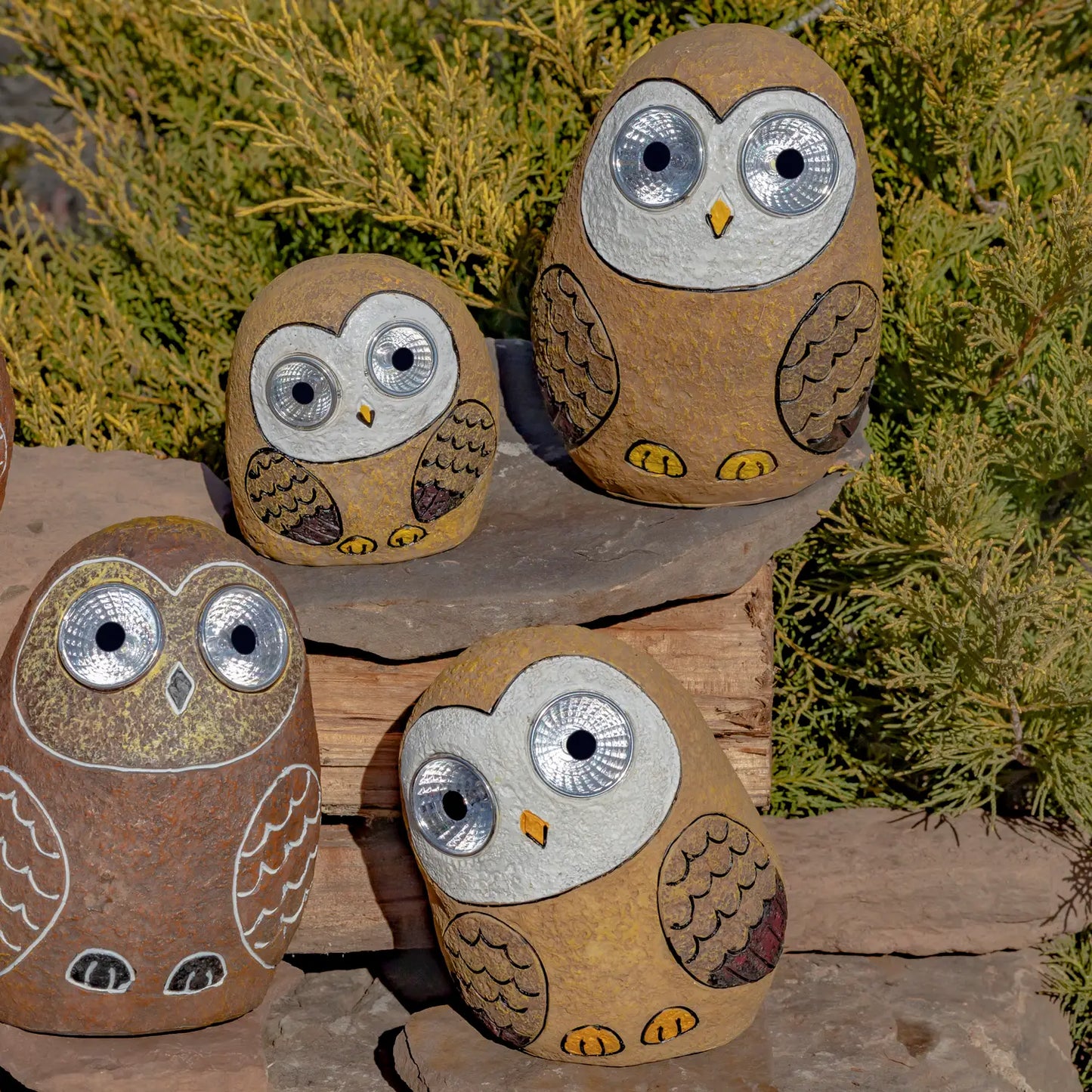 Solar Rock Owls with Light Up Eyes in 3 Asst Sizes & Colors