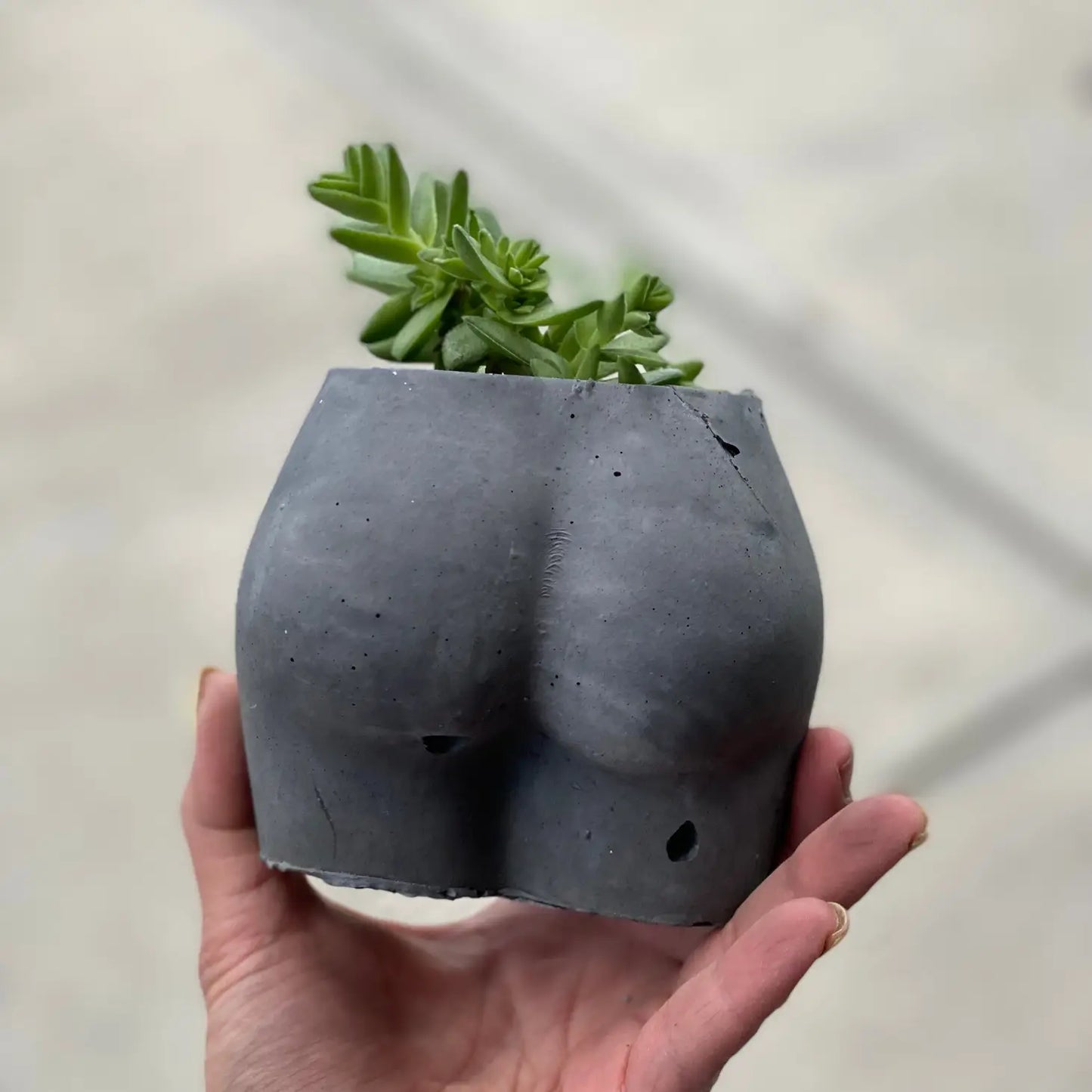 Little Booty Planter