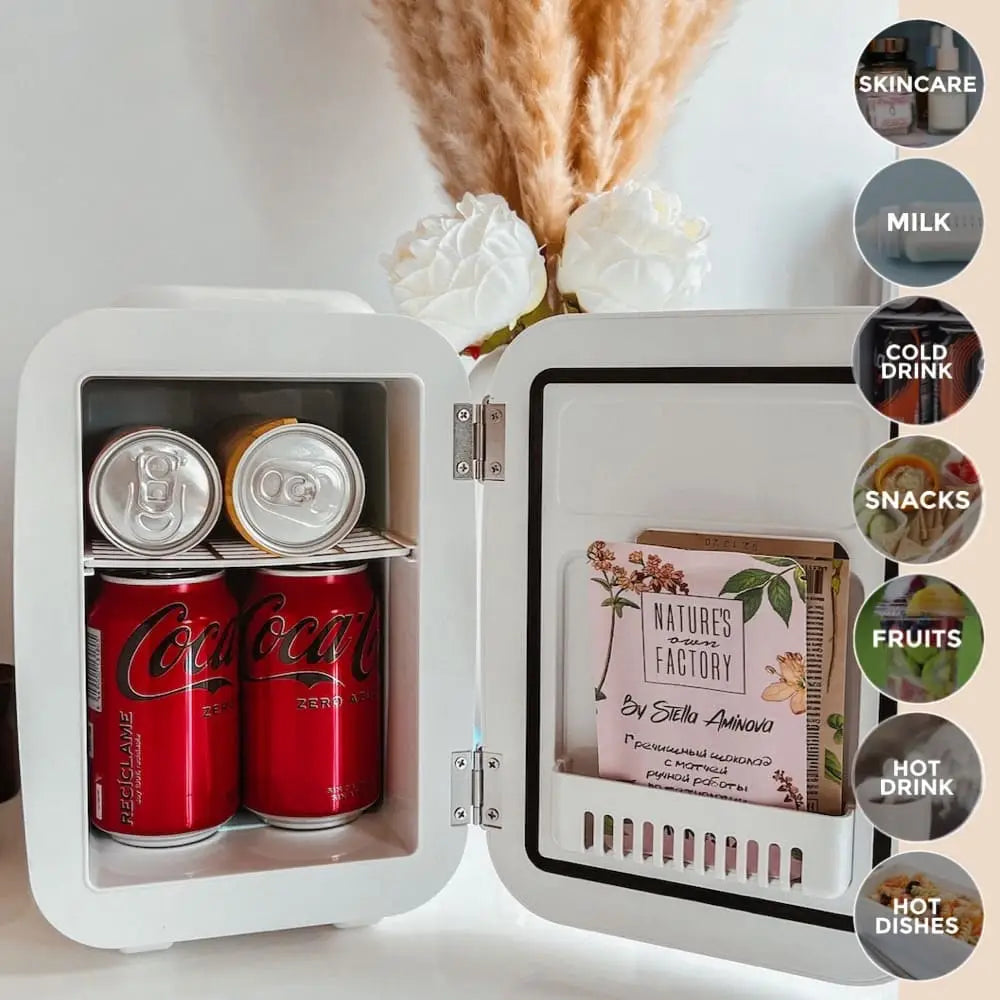 4L Portable Fridge