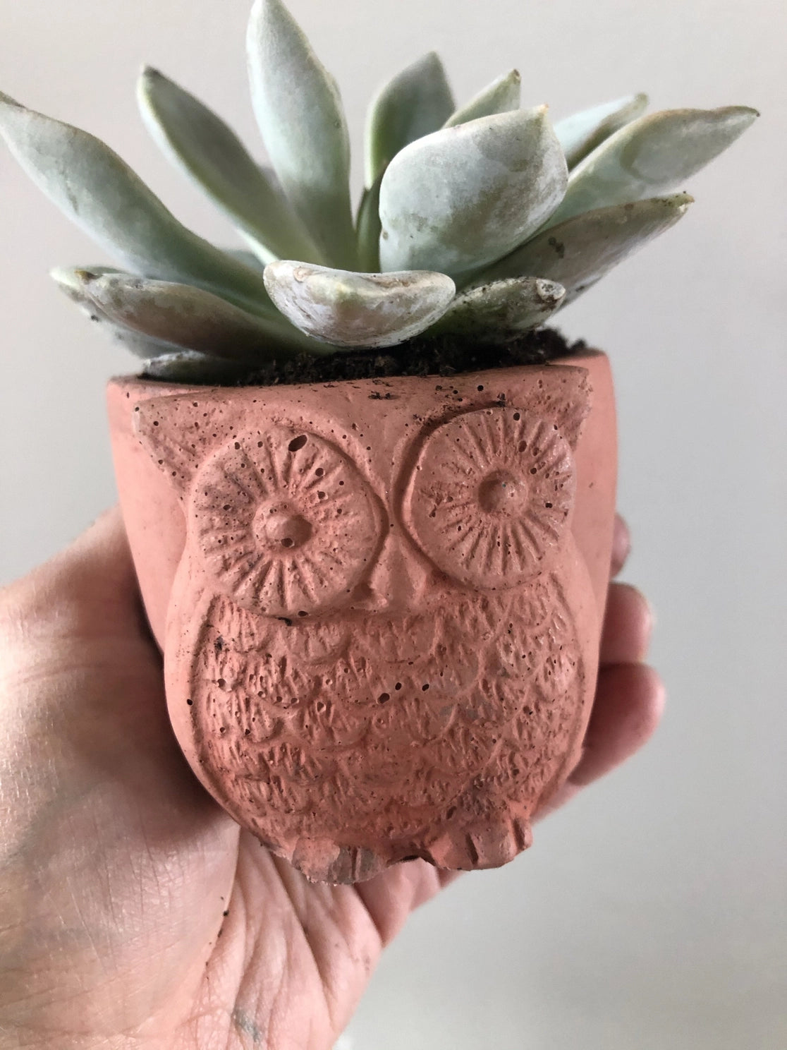 Owl Planter