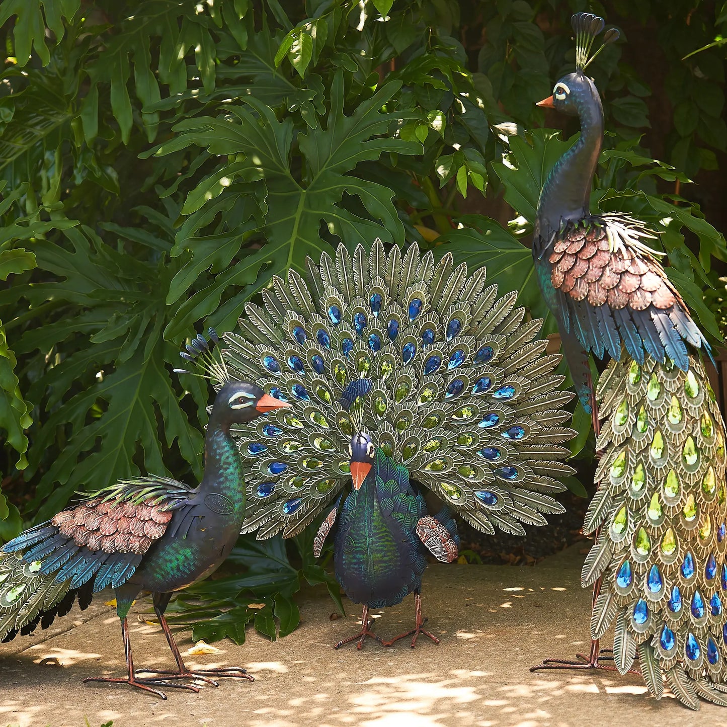 Elegant Iron Peacock W/Acrylic Jewel Detail in 3 Asst Styles