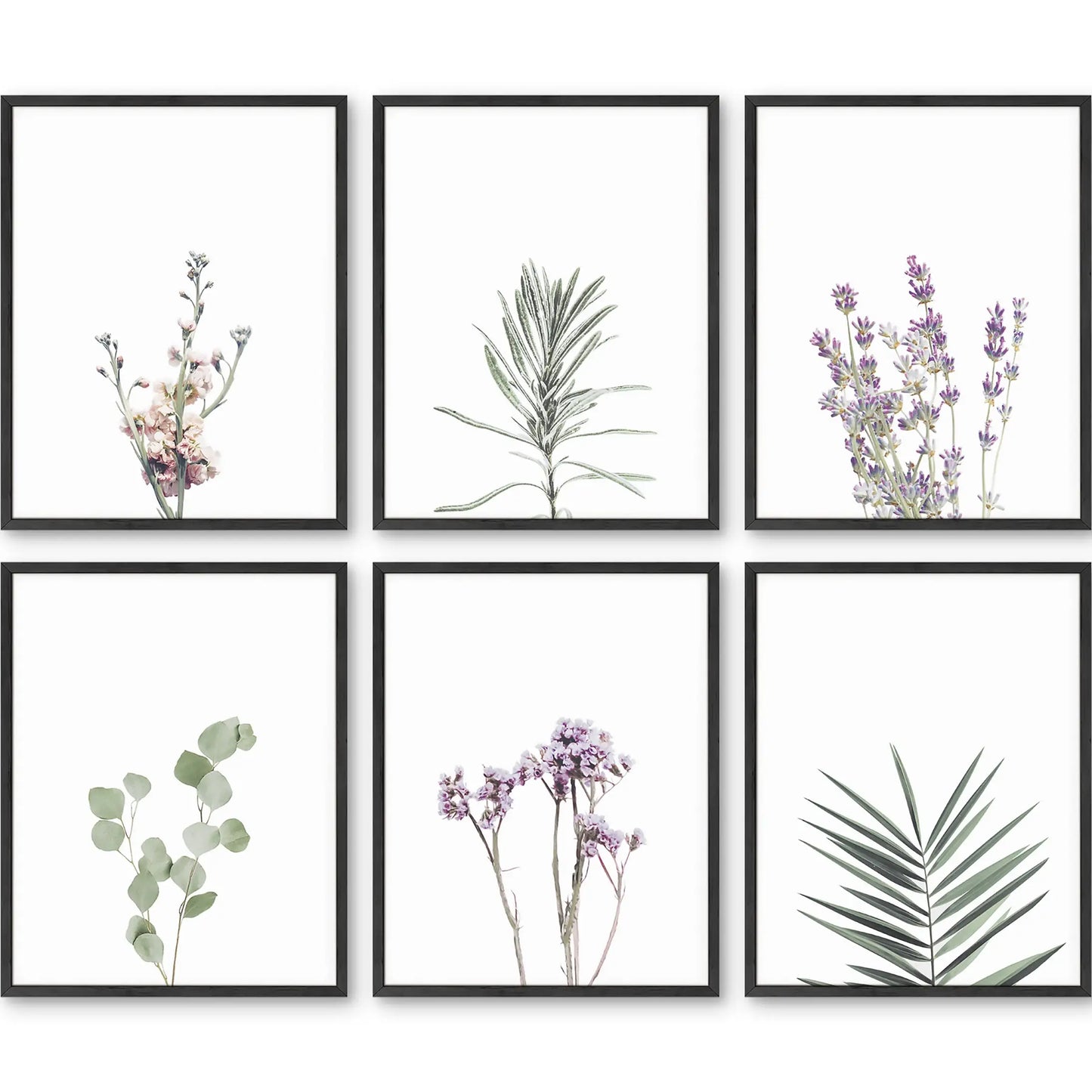 Unframed Green and Lavender Plant Set 11x14