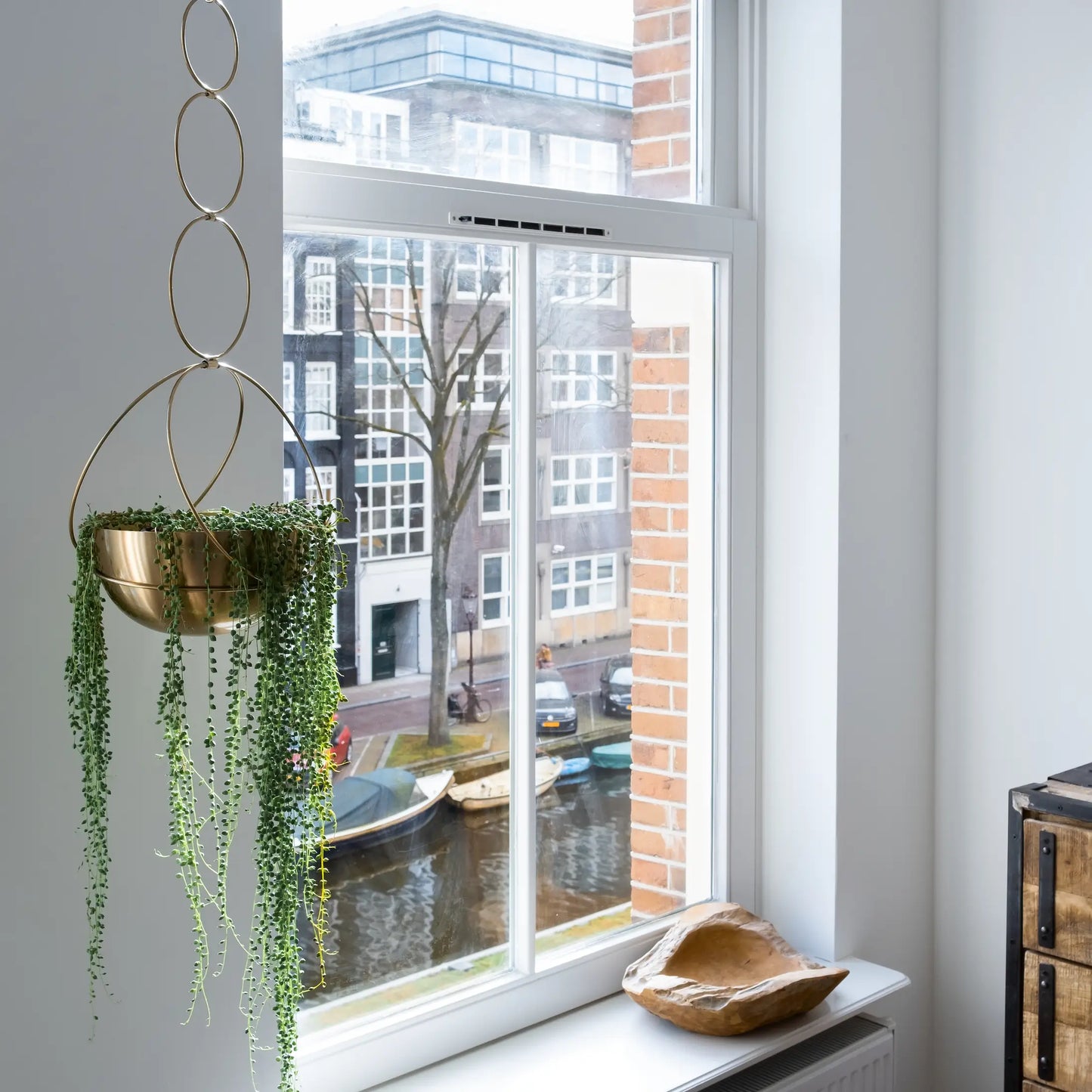 Gold Circle Hanging Planter