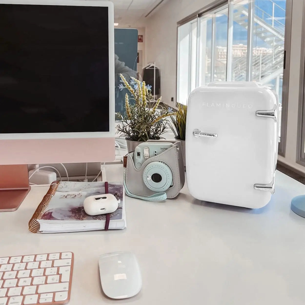 4L Portable Fridge