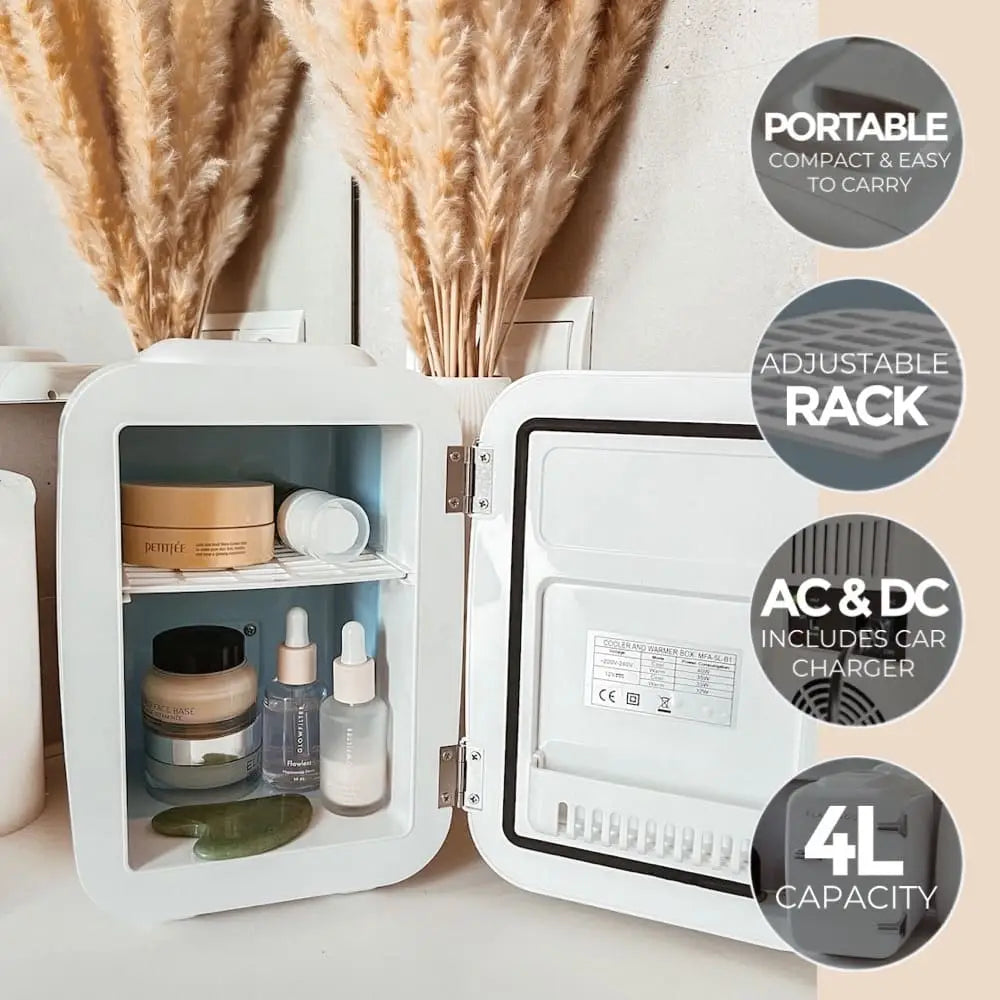 4L Portable Fridge
