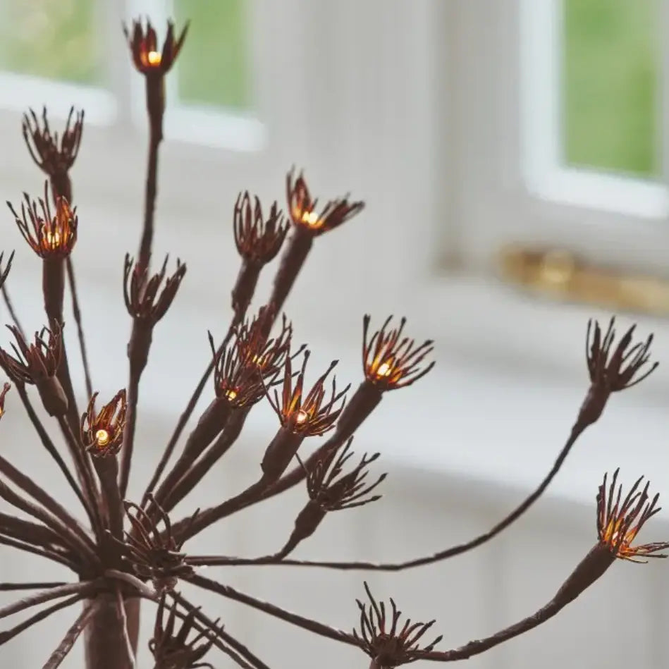 Solar Wild Fennel
