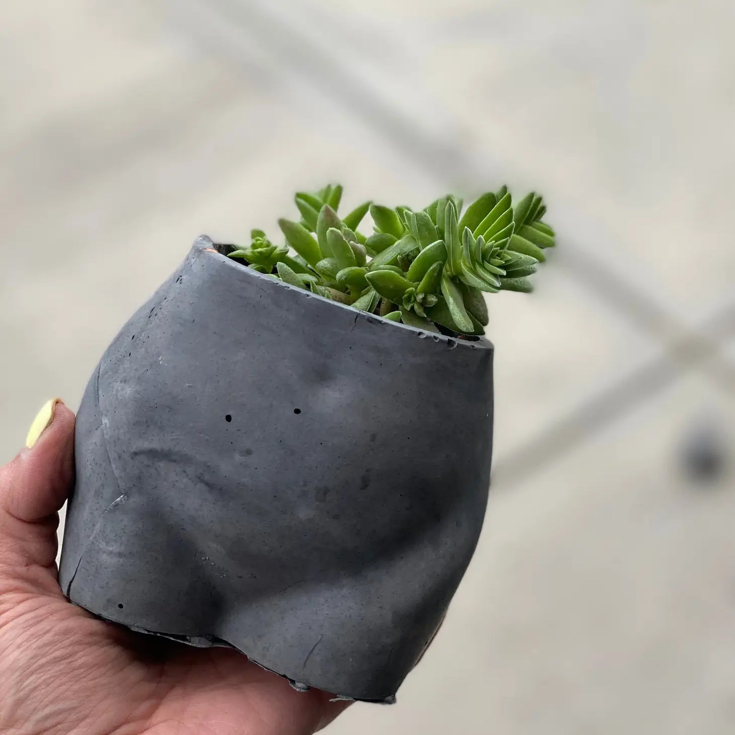 Little Booty Planter