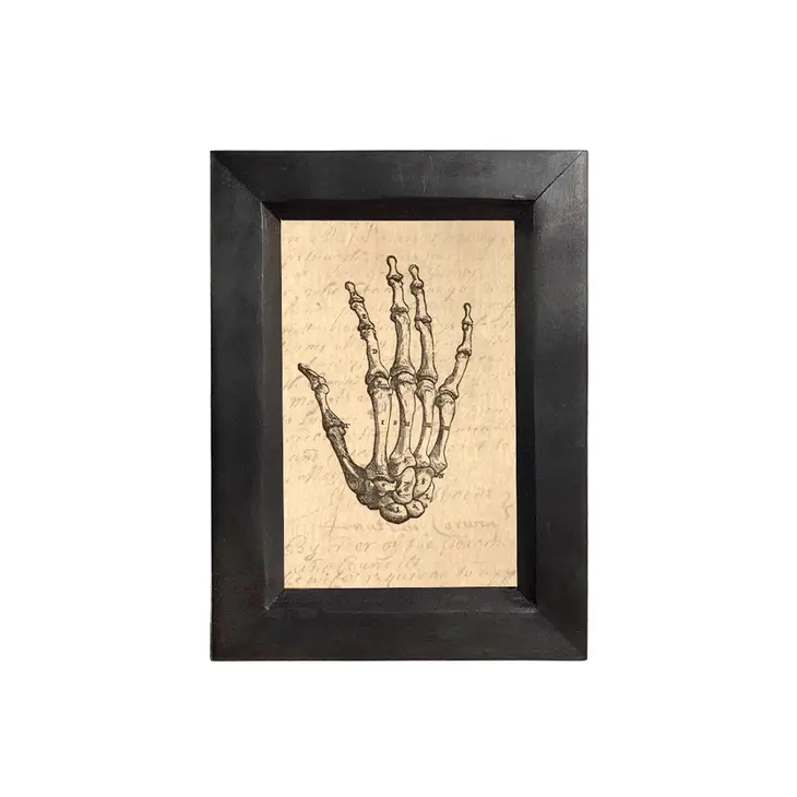 4"x6" Hand Bones Print Behind Glass in Distressed Wood Frame