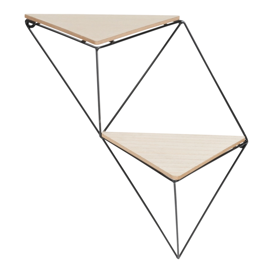 Double Triangular Shelf
