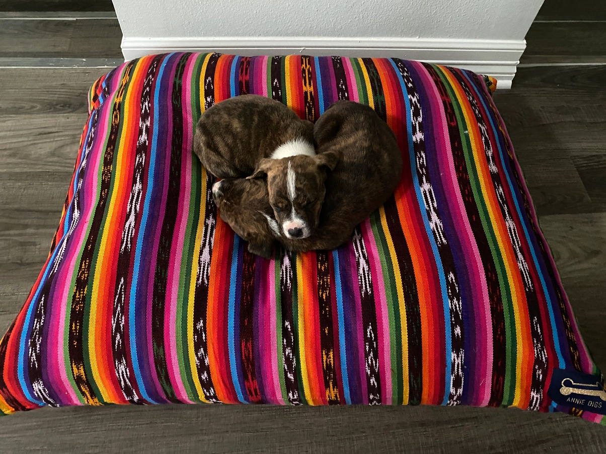 Pup Pillow - Oaxaca