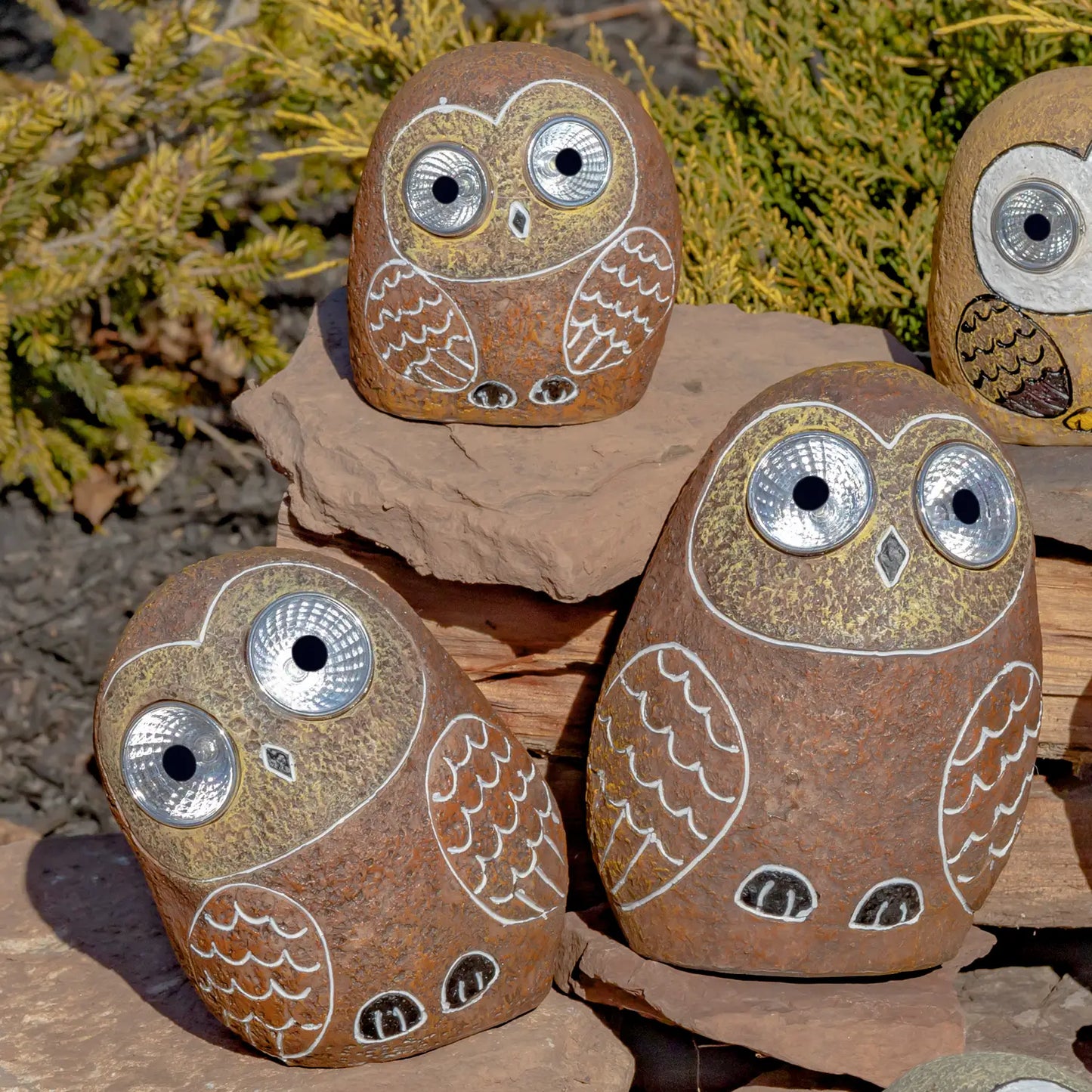 Solar Rock Owls with Light Up Eyes in 3 Asst Sizes & Colors