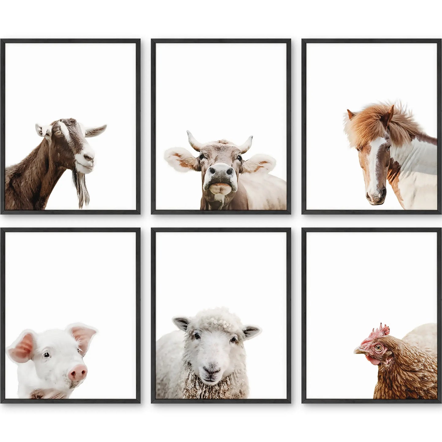 Unframed Farm Animal Portrait Set 11x14