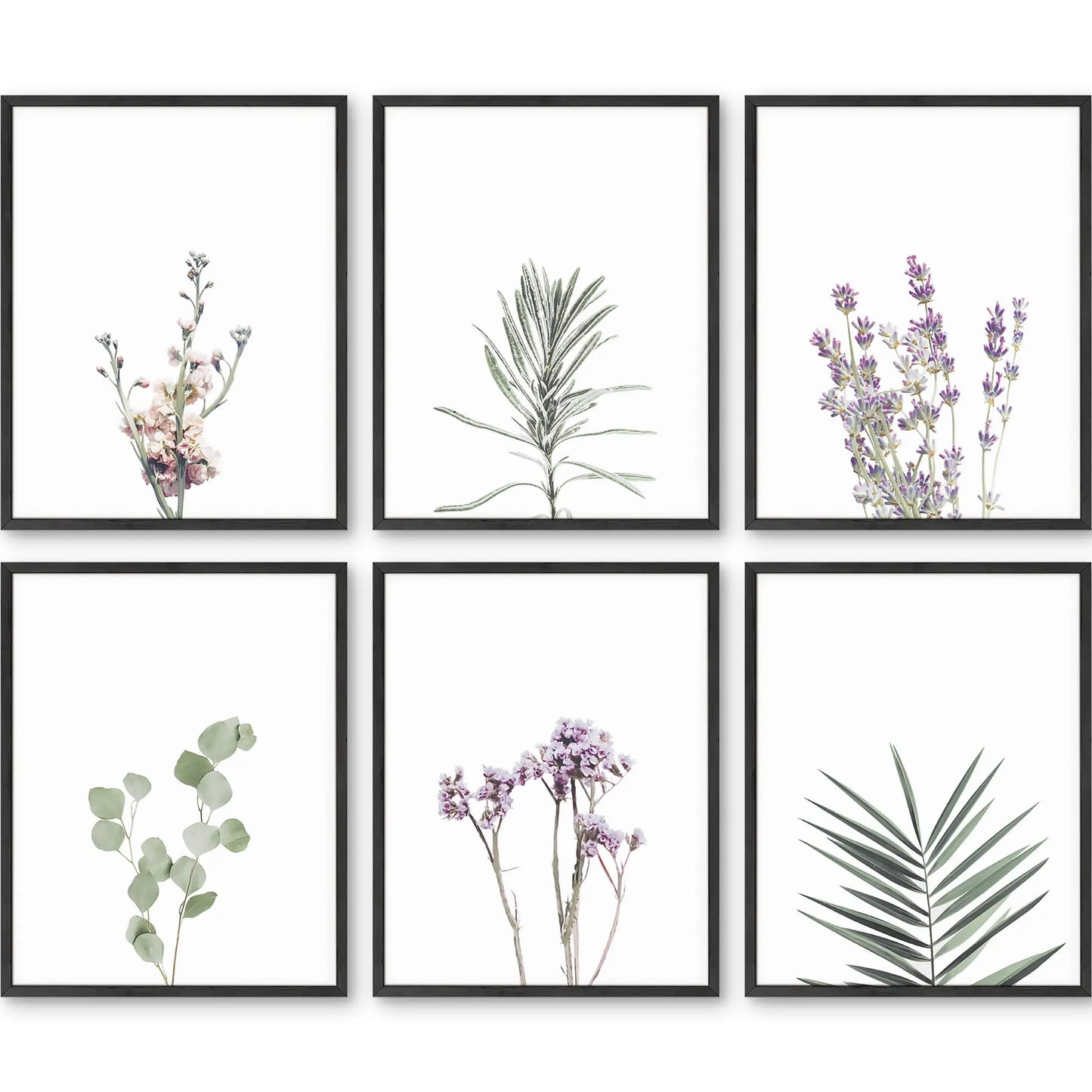 Unframed  Green and Lavender Plant Set 11x14